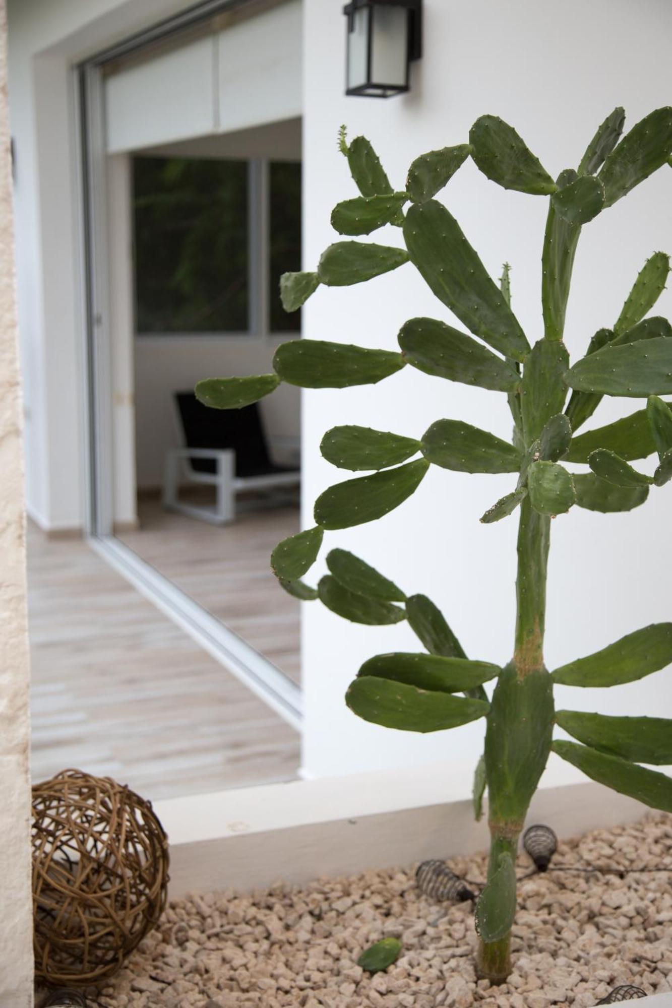 Luxury Private Villas , Private Pool, Private Garden, Jacuzzi, 24Hours Security Tulum Rom bilde